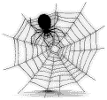 Spider and Web